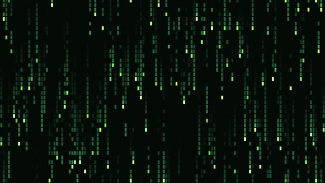 Data rain — Forest