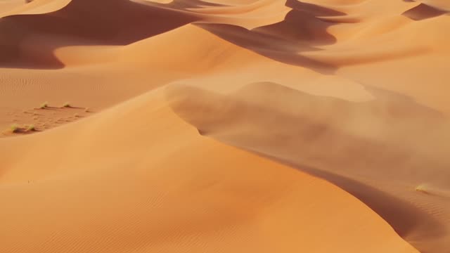Desert dunes wind
