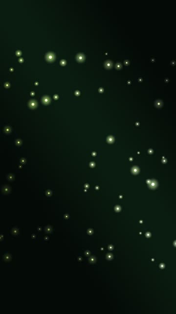 Dust in light — Forest