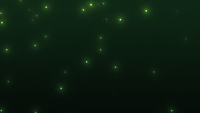Fireflies — Forest