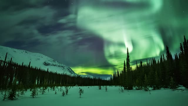 Northern lights