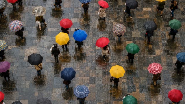 Rain umbrellas top-down