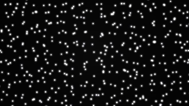 Star field — Noir