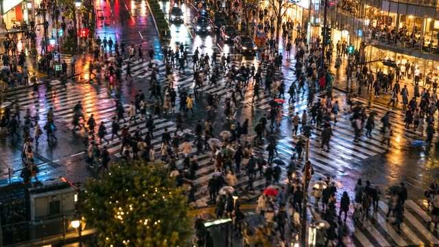 Tokyo crossing