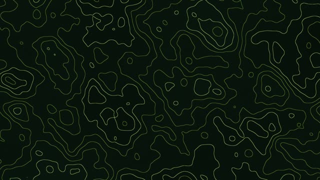 Topographic lines — Forest