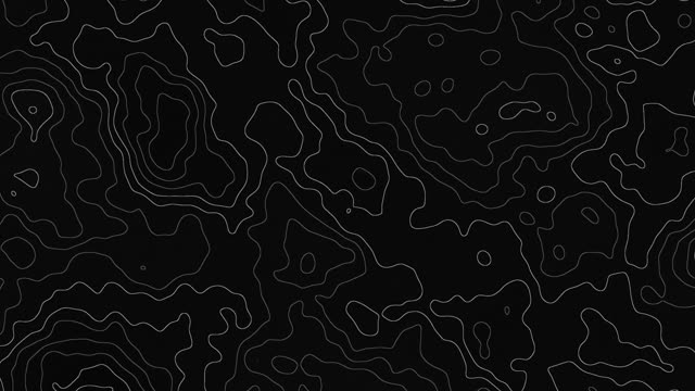 Topographic lines — Noir